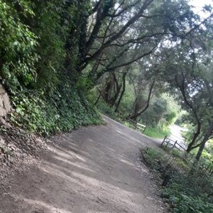 Meet your Posher, Idalie